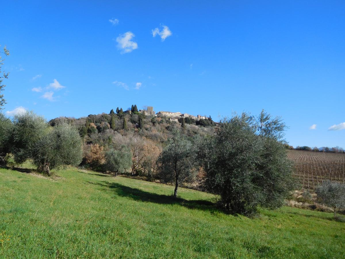 Borgo Vecchio Hotell Montalcino Exteriör bild